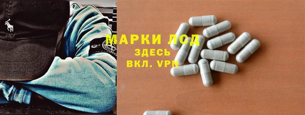 PSILOCYBIN Горно-Алтайск