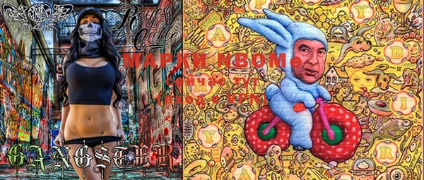 PSILOCYBIN Горно-Алтайск