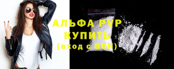 PSILOCYBIN Горно-Алтайск