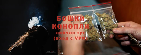 PSILOCYBIN Горно-Алтайск