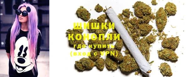 PSILOCYBIN Горно-Алтайск