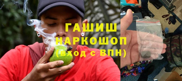 PSILOCYBIN Горно-Алтайск