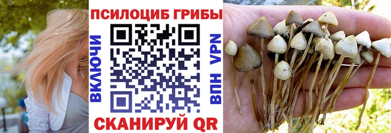 Галлюциногенные грибы GOLDEN TEACHER  Псков 